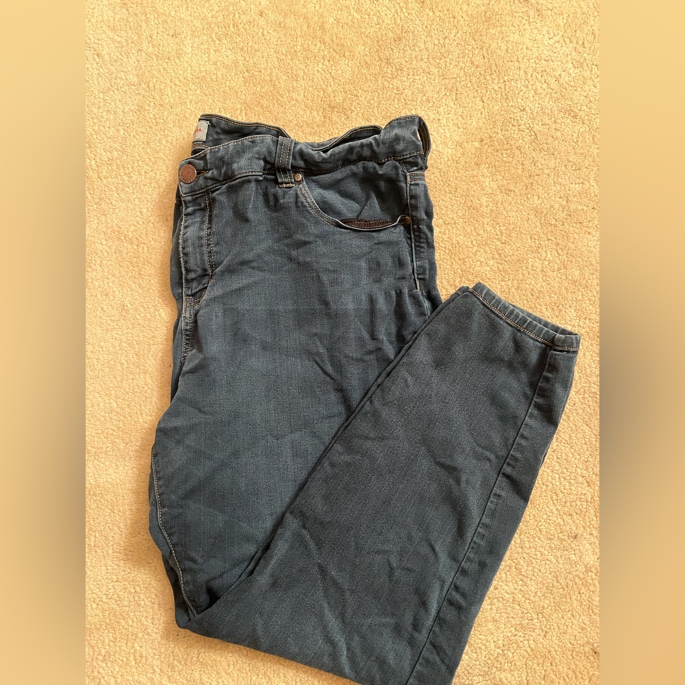 Molly & Isadora Skinny Jeans size 22